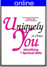 7 Spiritual Gifts Only Online Profile <br />(w/out the DISC questionnaire)