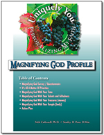 Personalizing My Faith Magnifying God <br/>Member Study Guide/Profile